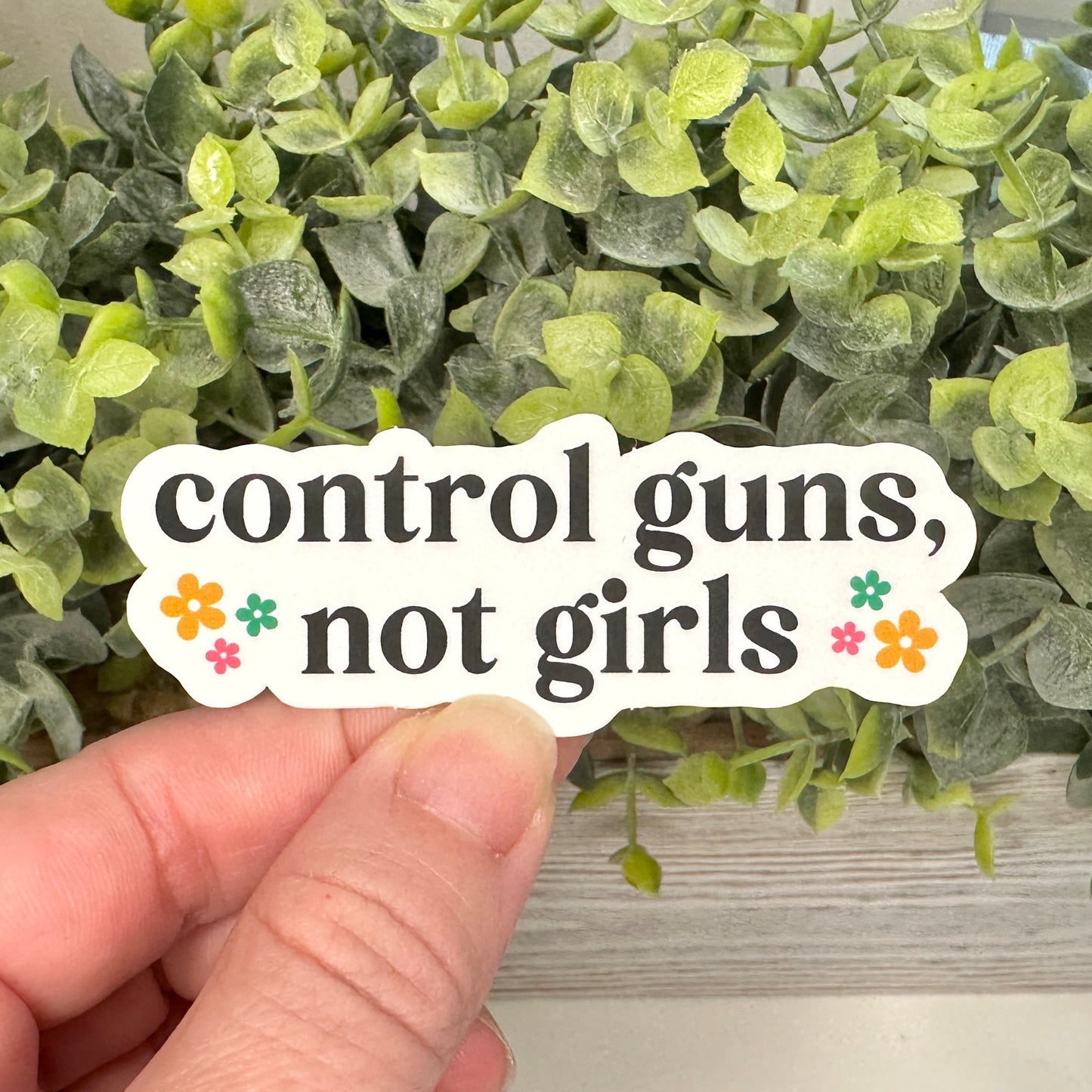 control guns not girls sticker