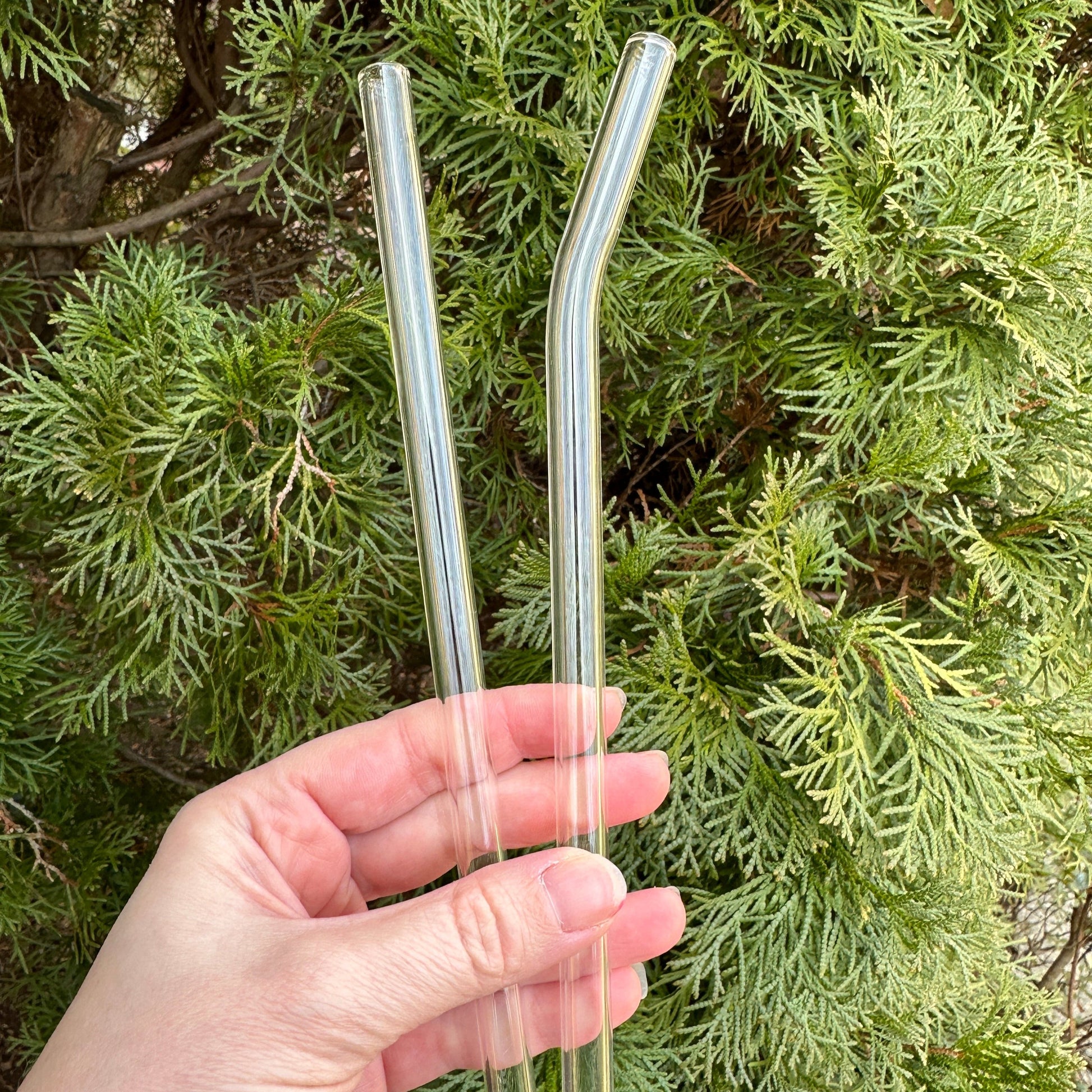 reusable glass straws